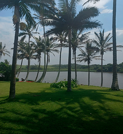 Nice view of Lagoon in Zinkwazi
