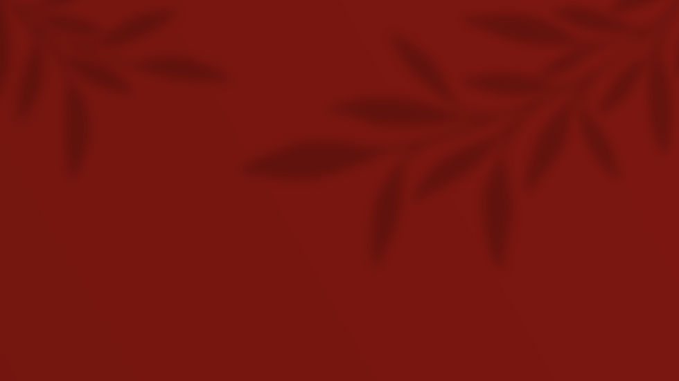 Shadow Background-04.png