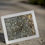 Thumbnail: "8x10 Turtle Swimming to Shore Coastal Art – Polystone Coral-Inspired Design wit