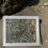 Thumbnail: "8x10 Turtle Swimming to Shore Coastal Art – Polystone Coral-Inspired Design wit