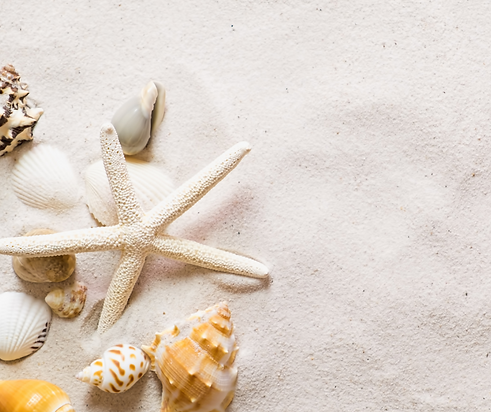 Handmade beach-inspired skincare – soaps, scrubs, lotions