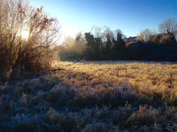 wintermood in the morning