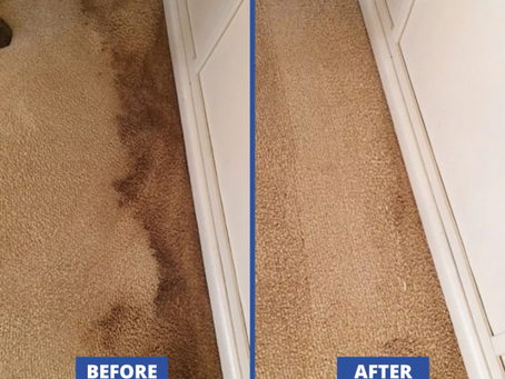 Is it worth getting your carpets professionally cleaned?