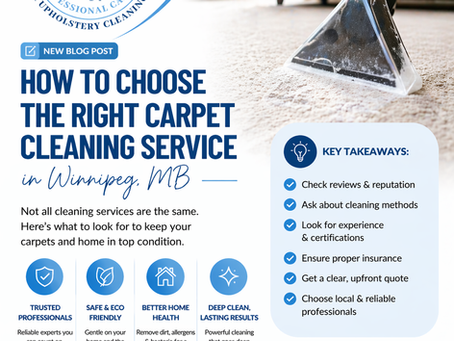 How to Choose the Right Carpet Cleaning Service in Winnipeg, MB