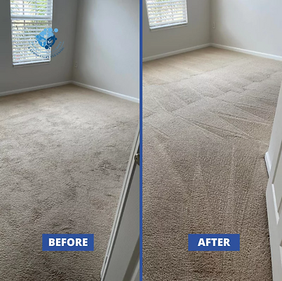 Carpet Cleaning Winnipeg MB (3) (1).png