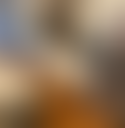 How to Choose the Right House Cleaning Service in Dayton