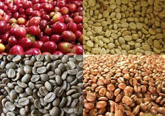 MARKETDISTRIBUIDOR LOS MEJORES GRANOS