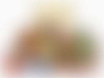 TU CANASTA FAMILIAR...