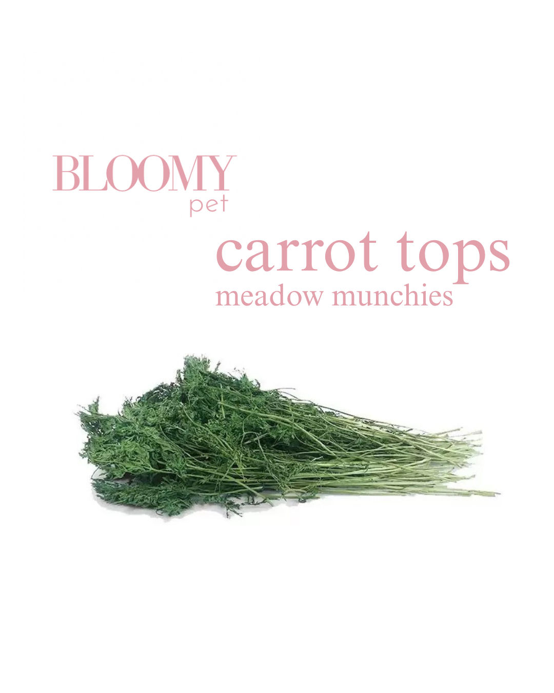 Carrot Tops