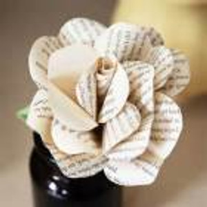 Literary rose