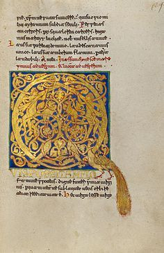 gold manuscript