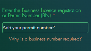 Anti Fraud Verification Process