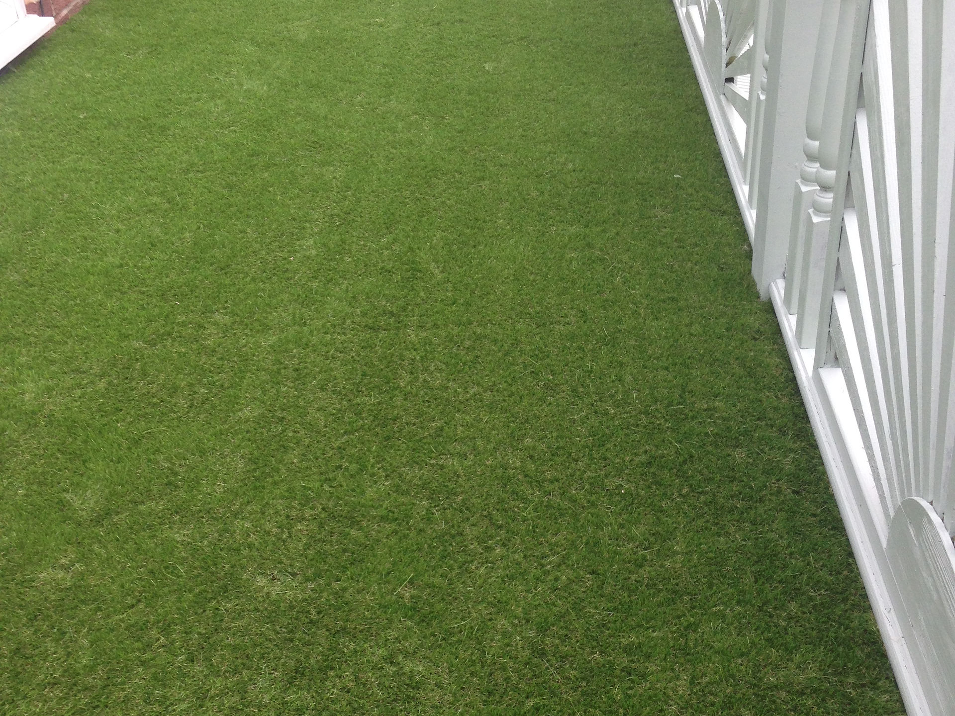 Artificial grass decking Newcastle