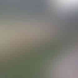 Garden Fencing Services Gateshead