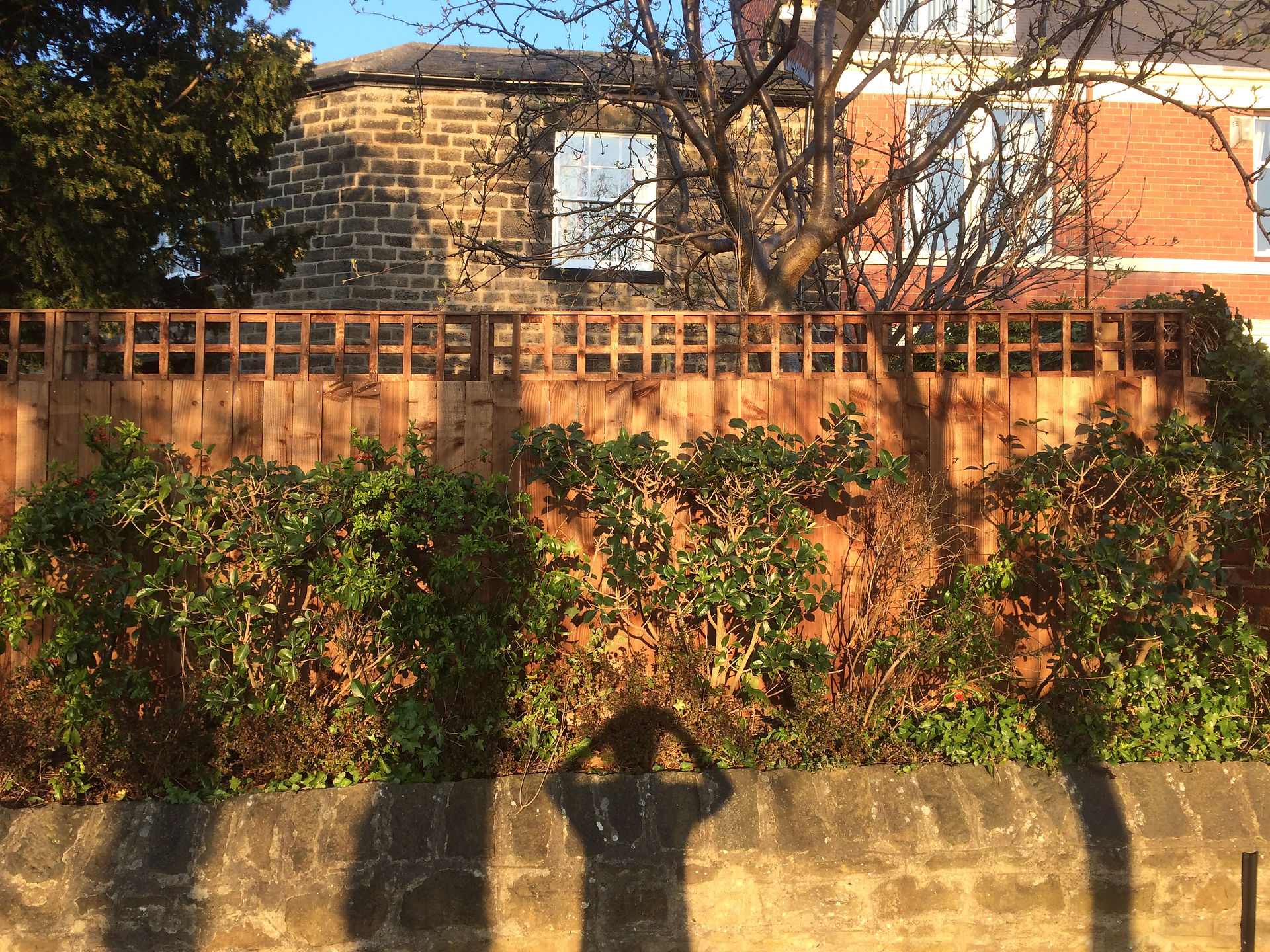 Fencing