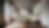 DALL·E 2023-12-25 19.02.47 - A photo of a modern, minimal, and classy kitchen in an apartm