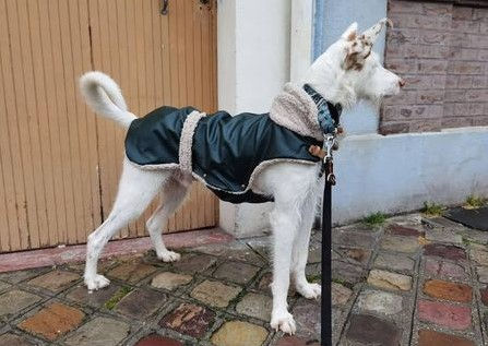 Thumbnail: Leather or skai coat