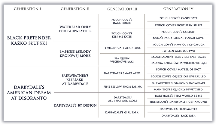 Rodowód Jolina.fw.png