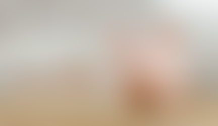 Transcend Accountant's piggy bank