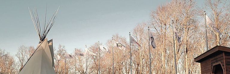 flag photo oct21_edited.jpg