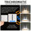 Thumbnail: Tri-Color LED Pendant Light