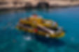 Dolphin Submarine Cruise Venture Cyprus Protaras.jpg