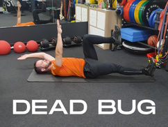 Dead Bug Variations for Trunk Stability