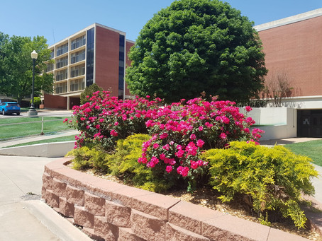 Summer at SWOSU