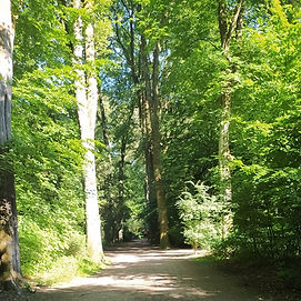 Rundgänge im Stadtpark