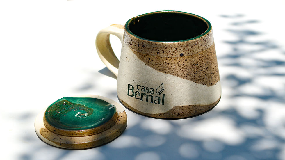 Bernal1