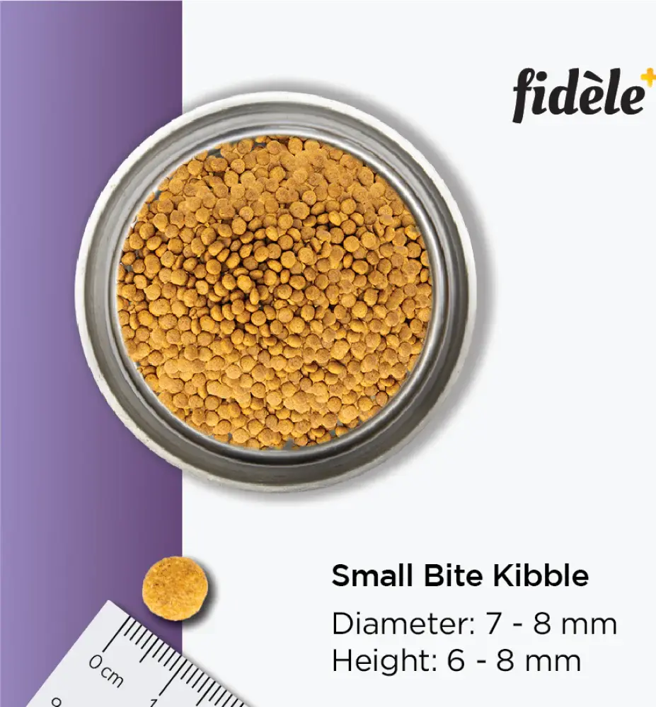 Thumbnail: Fidele Plus Adult Small & Medium Puppy Dry Food 3 Kg