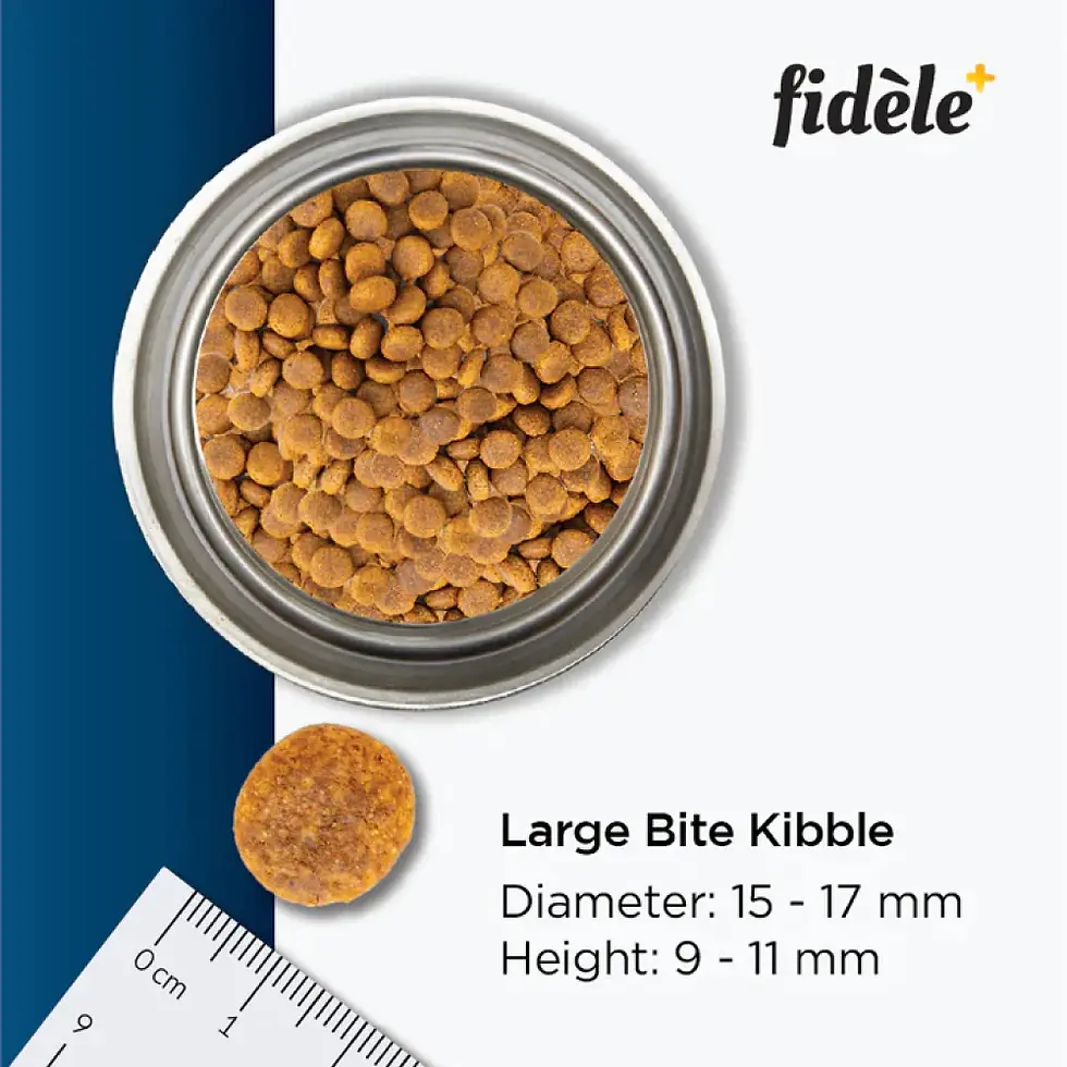 Thumbnail: Fidele Plus Adult Large Dog Dry Food 3 Kg