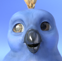 Bleuet
