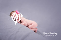 gris ne pas publier  (1)