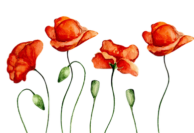  Willkommen bei Mohnflowers Nails – Ihr Beauty-Spot in Bad Zurzach! 