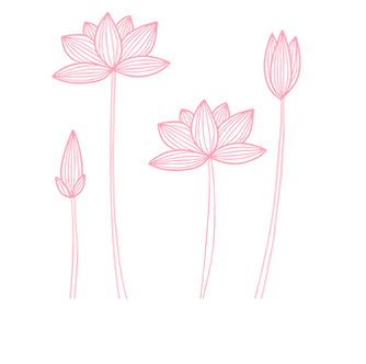 Termin Online | Lotus Nails in Lindenthal Köln