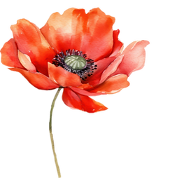 Willkommen bei Mohnflowers Nails – Ihr Beauty-Spot in Bad Zurzach!