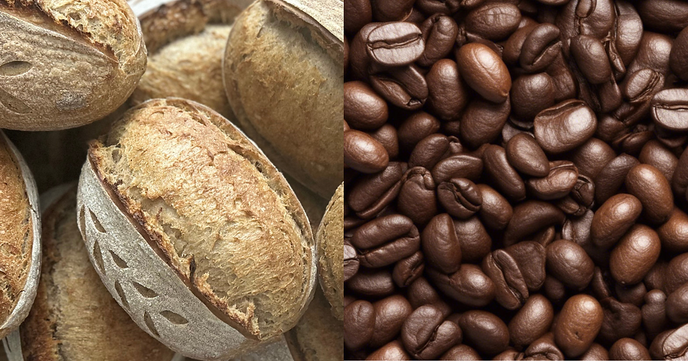 Untitled design-2.png