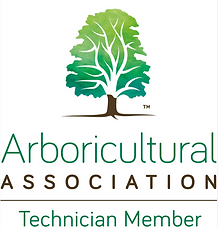 Arboricultural Association logo