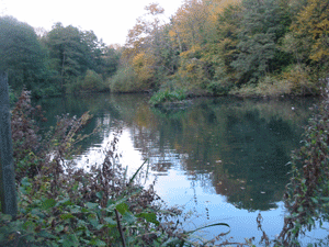 Basted Mill Pond