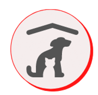logo animaux .png