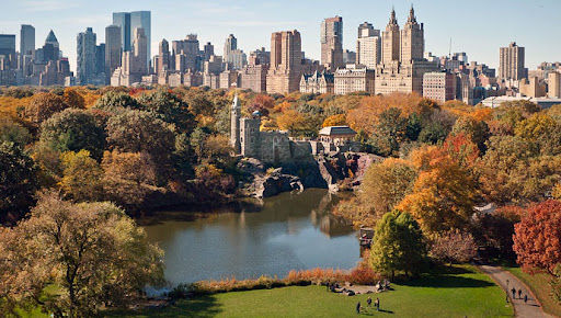 Vista aérea Central Park - Foto Google