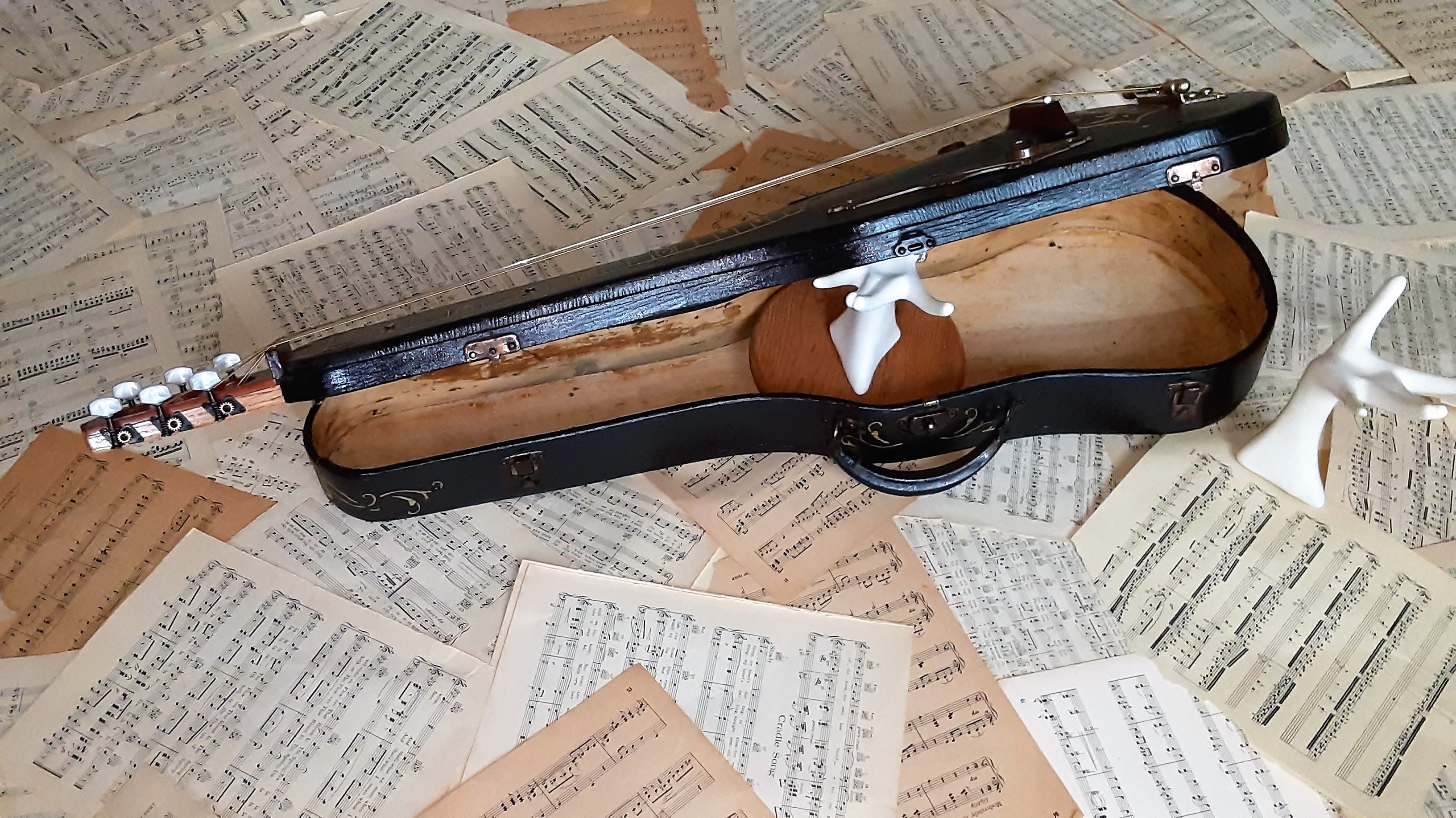 Case Opens