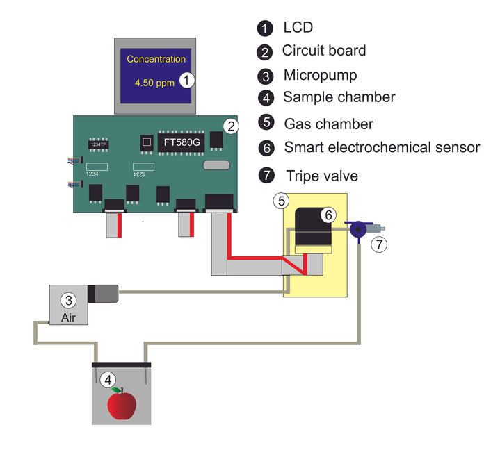 enose EC device-1.jpg