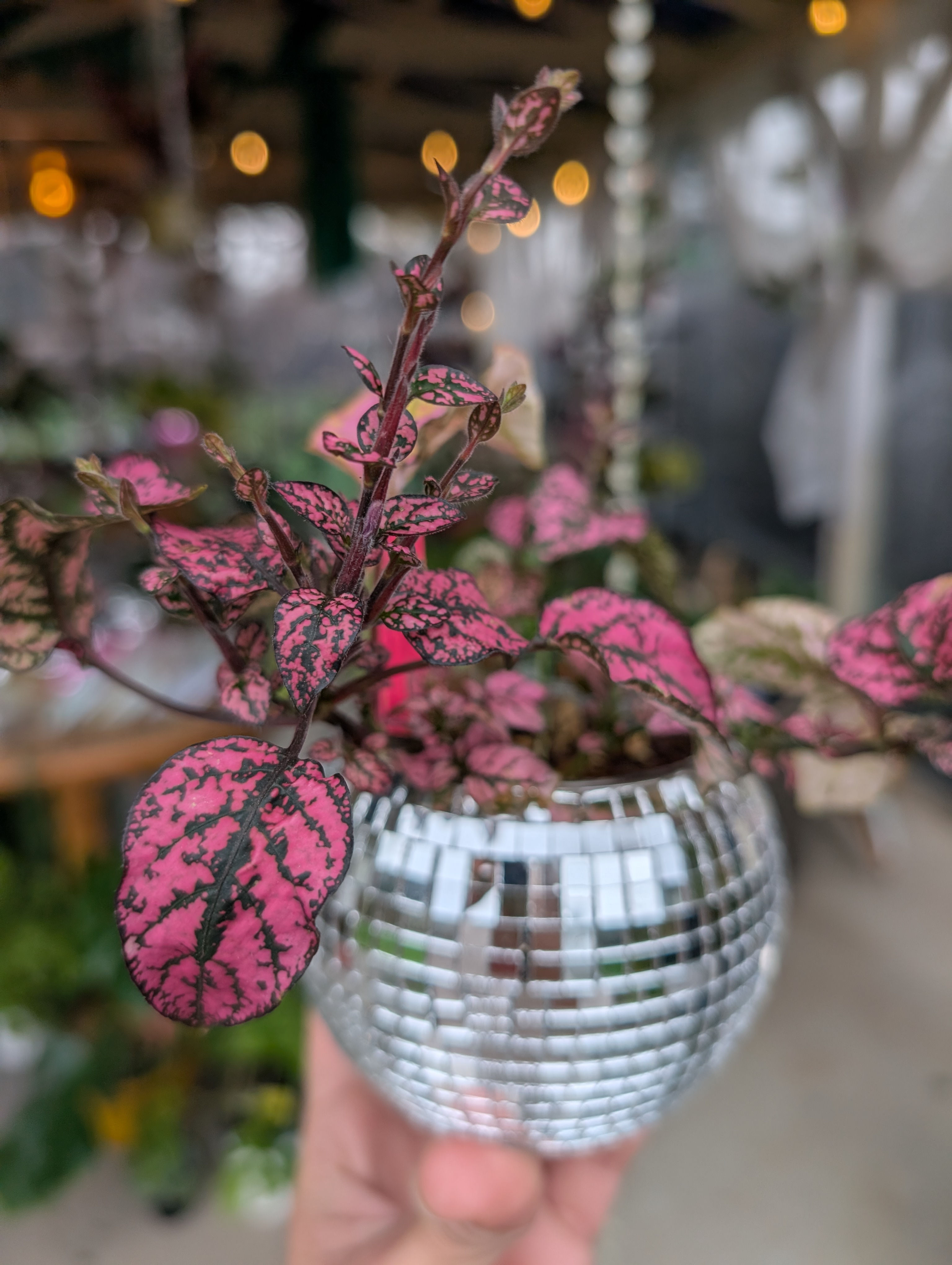 Pink Polkadot Splash in Sparkling 4" Silver Disco Vase