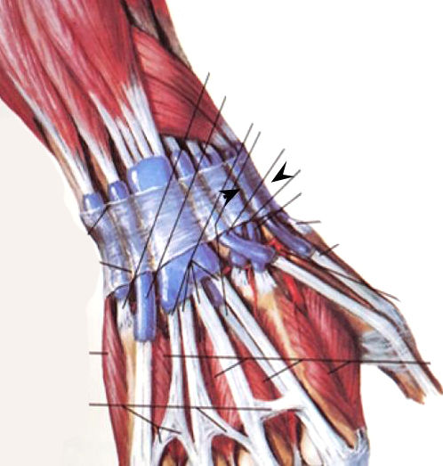 image2 (1).jpeg