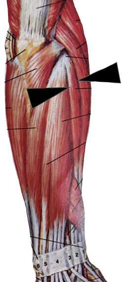 image0 (5).jpeg