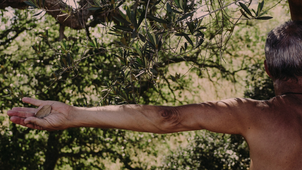 Deep Ecology Through Movement with Constança Morais