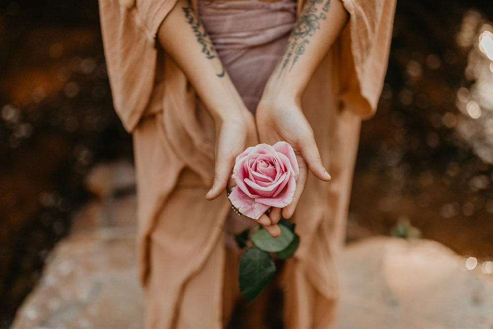 rose-4485.jpeg