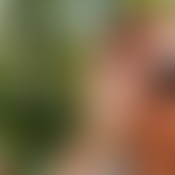 Facebook's eyebrow-raising Ray-Bans - AXIOS